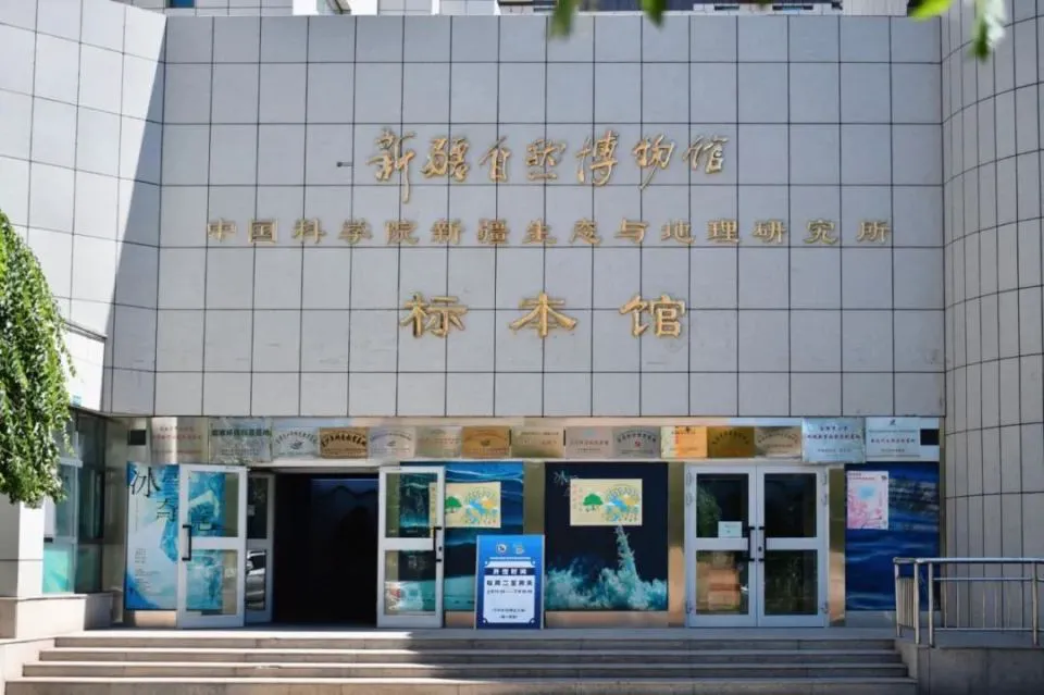 制定篮球交流计划以促进个人技能发展的方法_1